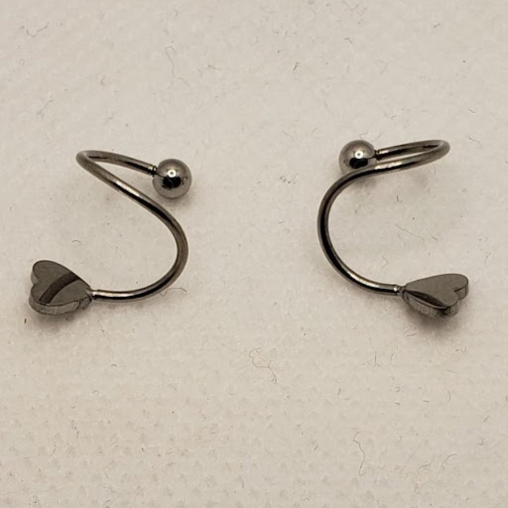 Stainless Steel Spiral Hearts Earrings